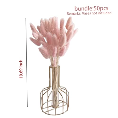 Dried Bunny Tail Flower Bouquet Natural 50 cm 50 pcs miniatura 3