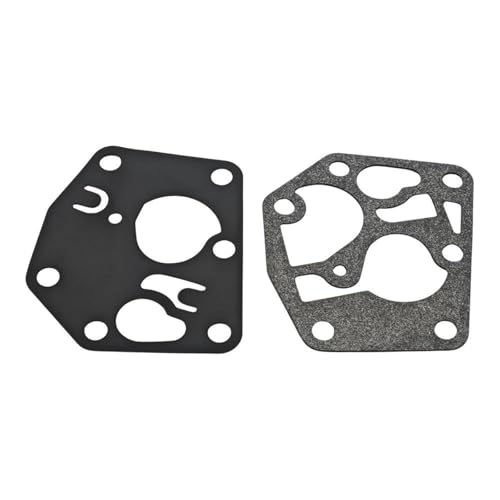 Kit carburateur 495770 pour résoudre les pannes de moteur Briggs Stratton