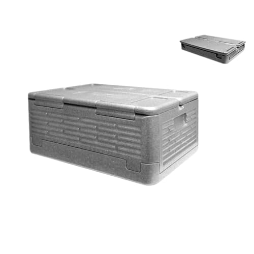 Tersi 冷蔵庫 バーベキュー/ピクニック用保温ボックス お花見 / 大容量40L アウトドア用途 (シルバー)