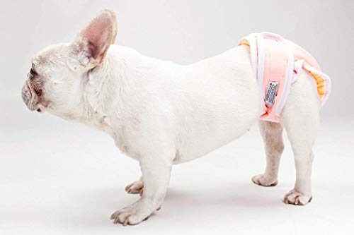 Washable Wonders™ Dog Diapers For Female | No Tail Hole | Premium Reusable Dog Panties | Absorbent Dog Diaper | Dog Diapers For Large Dogs (Lrg Pink) #TOP2