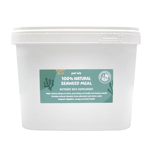 Best Dog Food For Dogs That Eat Seaweed