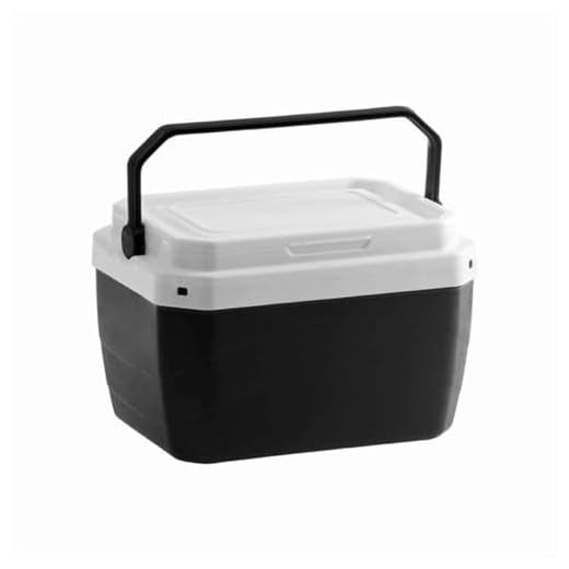 Mini Caixa Térmica Cooler 6 Litros - Caixinha Portátil Cabem 6 Latinhas (Preta)