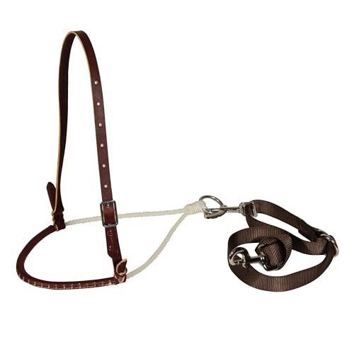 Professional's Choice Pony Tie-Down Set