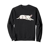 Photo Gallery chihuahua cani chihuahua dormire divertente carino felpa Photo Gallery chihuahua cani chihuahua dormire divertente carino felpa