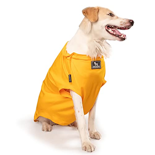 Image of HUFT Best Dog Ever T-Shirt for Dog - Yellow - S