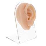Garneck Realistisches Ohrmodell für Piercing Übung Langlebiges Ohrtrainingsgerät Vielseitig für Schmuckpräsentation Akupunktur und Hörgeräte Kompakt und Praktisch für Praxis und Laden