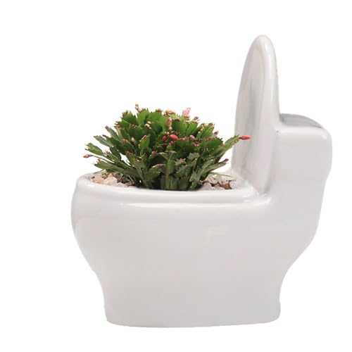 Maceta para inodoro - Decoración única para plantas de mesa, maceta de cerámica para inodoro | Maceta de cerámica en forma de taza para inodoro, maceta de inodoro suculenta con cactus para la
