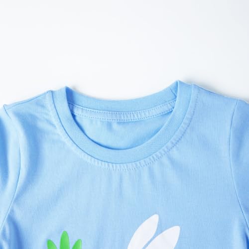 Image of HILEELANG Toddler Boy Summer Outfit Set 2 Piece Short Sleeve T Shirt and Short Soft Breathable Cotton Clothing Sets 2-7T