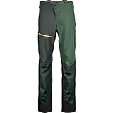 ORTOVOX Herren 3L Ortler Pants M Hose, grün (Green Pine), S