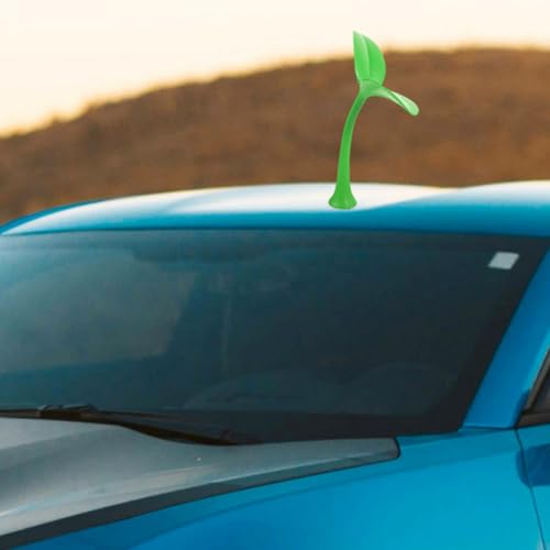 Accesorios de decoración exterior de coche y techos de vehículos 5