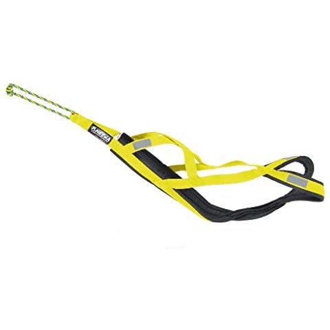 Neewa Pro Sled Dog Harness (Yellow, Large (Neck 18 Chest 32 Back 21)) Cover