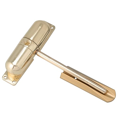 Burg Wachter Spring Loaded Adjustable Auto Closing Door Closer - Home & Commercial - Polished Brass