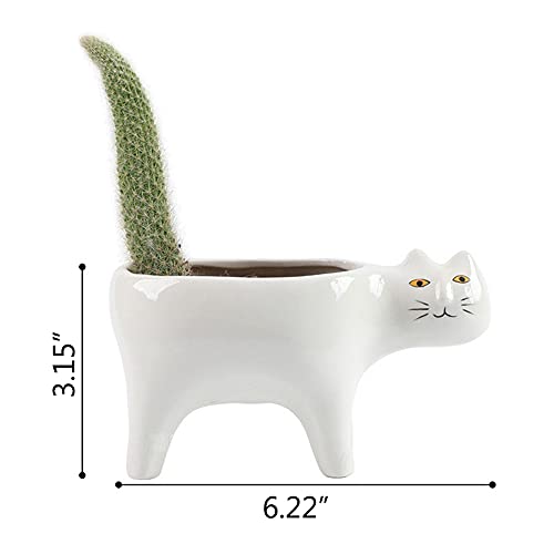 Diyomr Cat Planter Animal Succulent Pots, Ceramic Cat Mini Flower Pots Cactus/Plants Containers For Home Office Desk Windowsill Decor, Plants Not Included (White) #TOP4