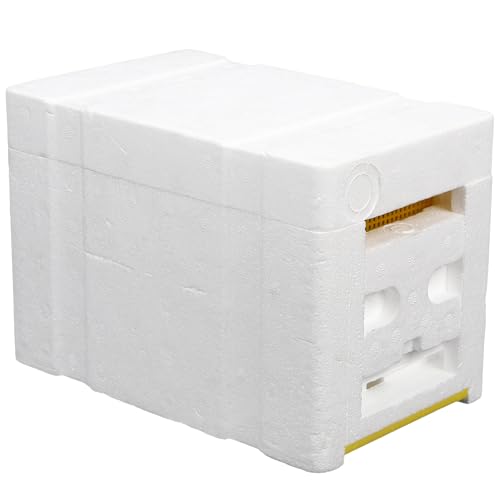 Boîte de fécondation pour abeilles, idéale pour rucher de jardin