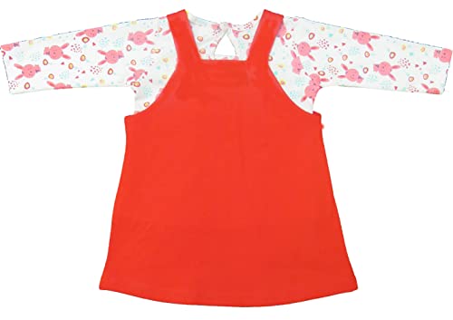 Image of Clothe Funn New Born Knee Length Baby Girl Dress (Peach /Red, 0-3 Months)