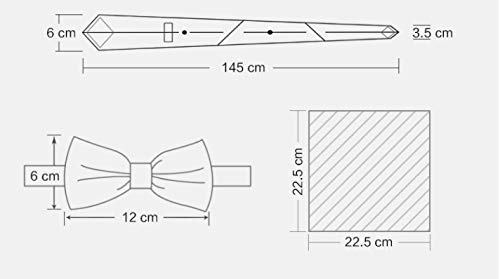 Set clásico de corbata de moño roja a rayas para hombres miniatura 2