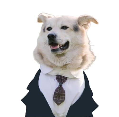 YAKINO �� �X�[�c �l�N�^�C �Z�b�g �^�L�V�[�h�� �� �� �t�H�[�}�� ���l�N�^�C �a���� ������ �p�[�e�B�[ �L�O�B�e ��^�� (�u���b�N,4XL)