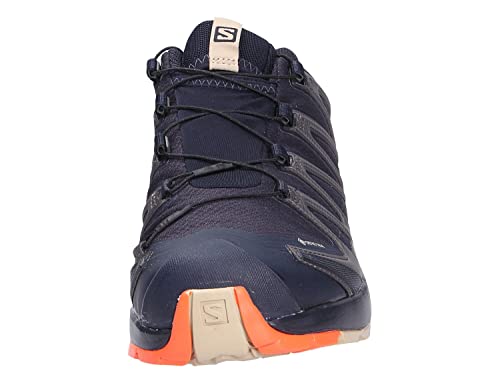 Image of Salomon Men's XA Pro 3D V8 GORE-TEX Trail Running Shoes