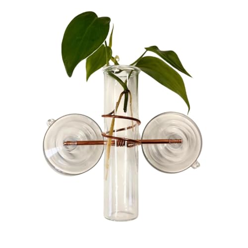 1 Lily Window Plant Propagator- Window Plant Propagation Station with
