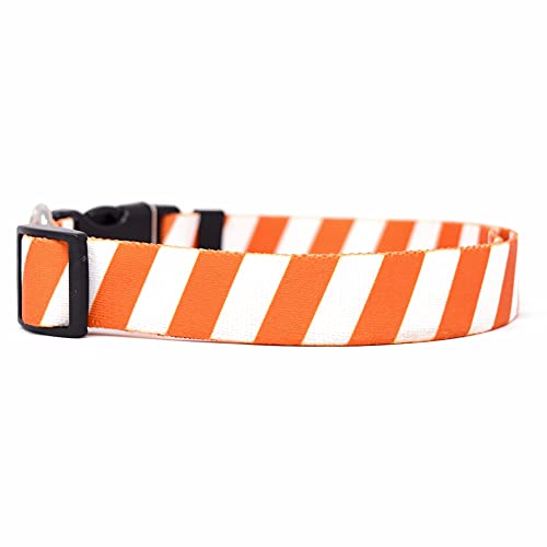 Yellow Dog Design Team Spirit Rust and White Dog Collar-Size Teacup-3/8 Wide and fits Neck 4 to 9
