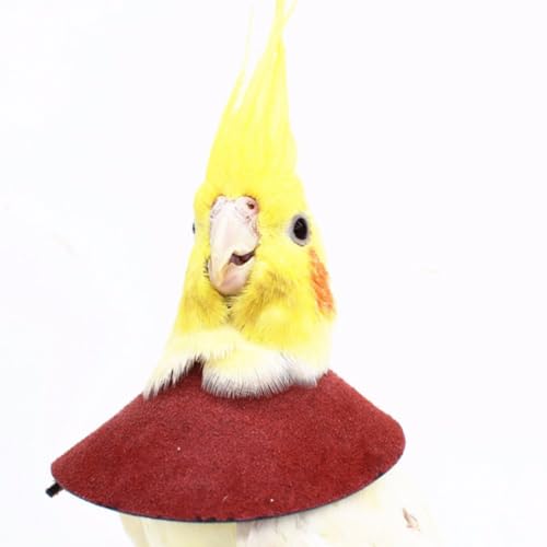 2pcs Parrot Protective Collar Anti-bite Neck Cone for Birds, Red and Blue, Bird Health Supplies - Image 5