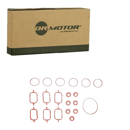 DR.MOTOR AUTOMOTIVE DRM0110SLX Kit de joints de collecteur d'admission Compatible avec BMW 3 Berline E46 3 Berline E90 3 Touring E91 5 Berline E60 3 Coupé E46