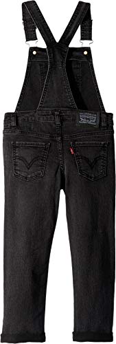 Levi's Girls' Big Denim Overall, Skyler, 10