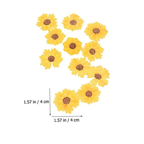 96 unidades flores secas para manualidades DIY miniatura 6