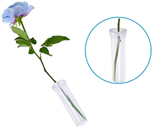 image for Tirifer 21 Pack 60ml Large Floral Tubes with Rack Holder for Milkweed 