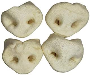 PROtastic Lucky Dog Deli - Puffed Pig Snouts x8, the low fat treat for your dog. Odourless and chewy