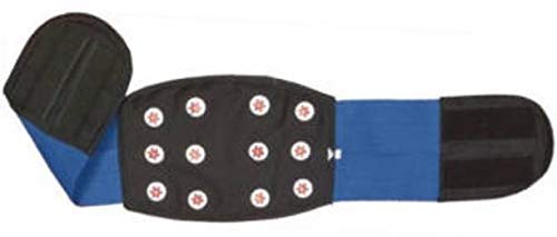 ACUPRESSURE INDIA Acs 12 Magnet Acupressure Back and Abdomen Support Belt (Black)