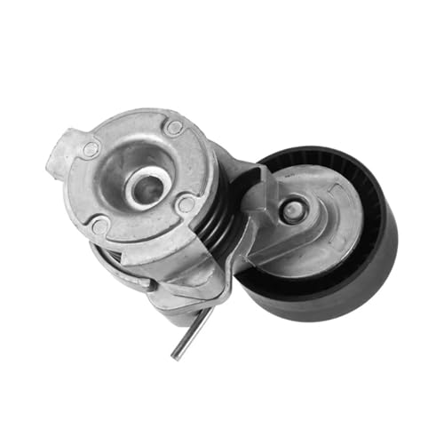 Poulie de tension élimine les sifflements de courroie pour BMW E60 X5