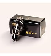 Amazon.com: LINLAI Tube 1 Pair KT88 Free Matching Vacuum Hifi