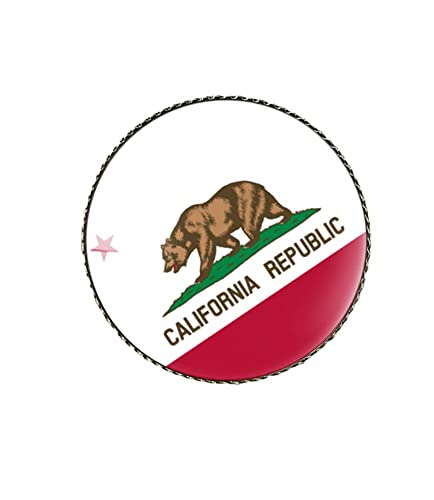 Image of vmcoatdu Round 1 Inch South Carolina Flag Pin Brooch Metal and Inlay Glass Revivalism Style Souvenir Badge Brooch for Hat Clothes Backpack