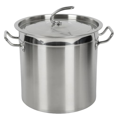 Inscrip Olla con 2 asas, olla universal de inducción para espaguetis, olla de inducción con tapa, 30 x 30 cm, acero inoxidable, para todo tipo de cocinas y cocinas grandes