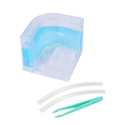 EUKKIC Humidité Bricolage Alimentation Fourmi Ferme de Laboratoire Science Jouet Éducatif