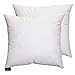 Juego de 2 piezas de relleno de plumas y plumón para cojines decorativos de 45 x 45 cm, suave y consistente