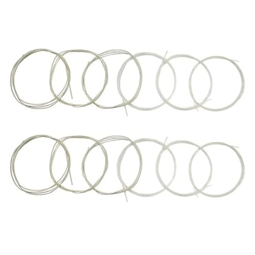 TUOREN 2 Sets of 6 String Classical Guitar Strings