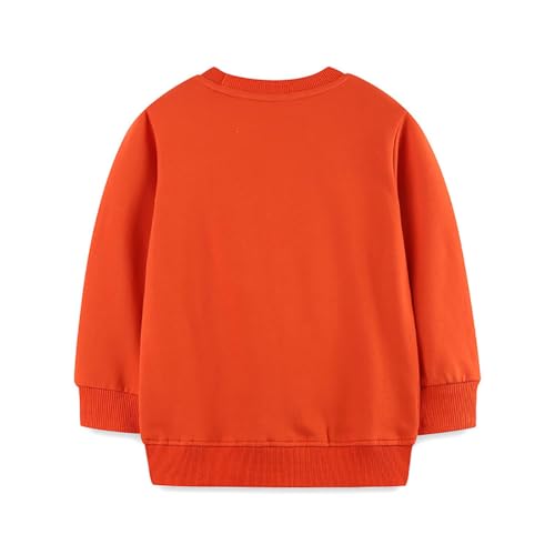 Boys Sweatshirts Casual Sweatshirts Cotton Sweatshirts Long Sleeve T-shirts Crew Neck Cartoon Tops for Boys-3232