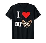 cuccioli chihuahua pelo lungo lombardia carino chihuahua cucciolo cane ama il mio chihuahua, animale domestico, salvataggio amore animale, divertente, uomini, donne, bambini, chiwawa