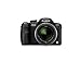 Panasonic DMC-FZ35K LUMIX 12.1 Megapixel Camera - Black
