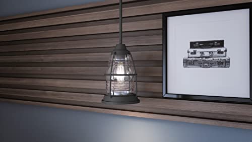 Quoizel Amr1508Mb Admiral Pendant, 1-Light 100 Watts, Mottled Black #TOP1
