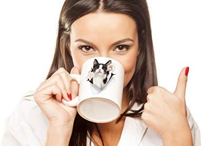 Winston & Bear Reaching Tuxedo Cat Coffee Mug - Funny Ceramic Black White Coffee Mug Gift for Cat Lovers - Cute Novelty Cup for Men and Women (11oz) - Image 2