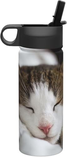 ���킢�� �L �L�� �˂� �Q�� ���� �^��f�M �ۉ� �ۗ� �X�|�[�c�{�g�� �l�C �X�e�����X�{�g�� �X�|�[�c�����Ή� �R��Ȃ� ������530ml �j�̎q ���̎q ������� �v���[���g