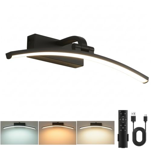 Lampe pour tableau LEONTYNE élégante applique murale noire de style