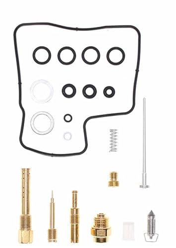Kit reparación carburador VT750C Shadow con émbolo y diafragma de vacío