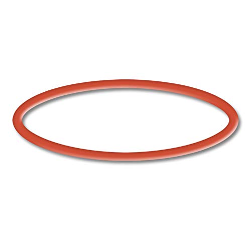 SunSun Ersatzteil für Schwimmbadpumpe O-Ring 2, leistungsstarke Poolfilteranlage, Filterpumpe mit hoher Förderleistung, robuste Pool Pumpe