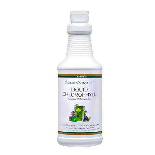 Liquid Chlorophyll with Spearmint Oil 476ml