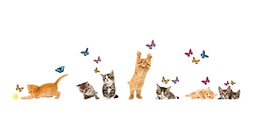 Crearreda CR-64001 Cats Window Decals