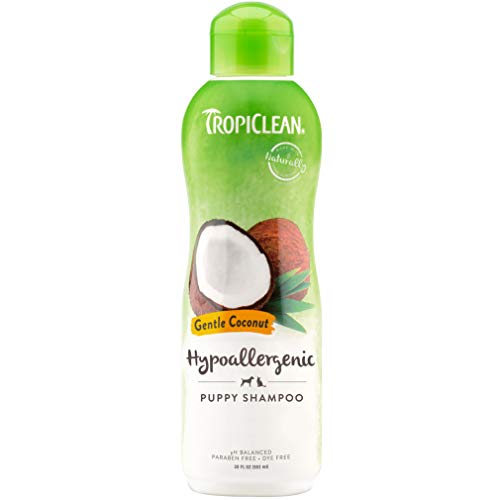 Best Kitten Shampoo